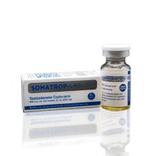 Testosterone Cypionate 250 mg Somatrop-Lab